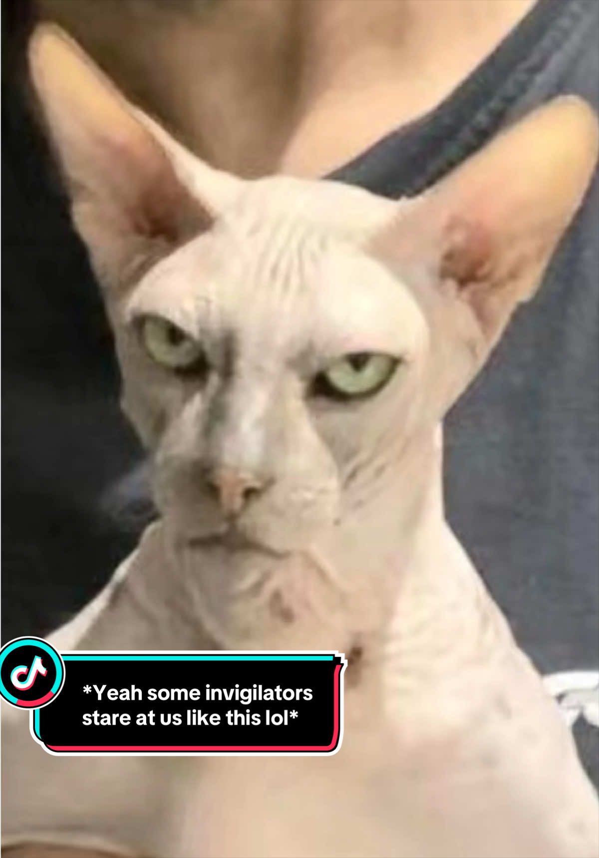 @CoolDrakeBuses