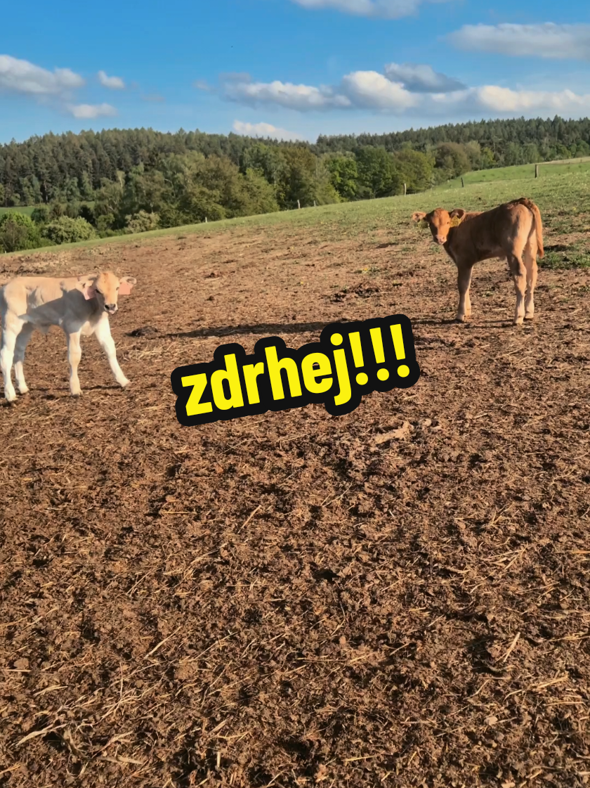 @Ekofarma Holčovice