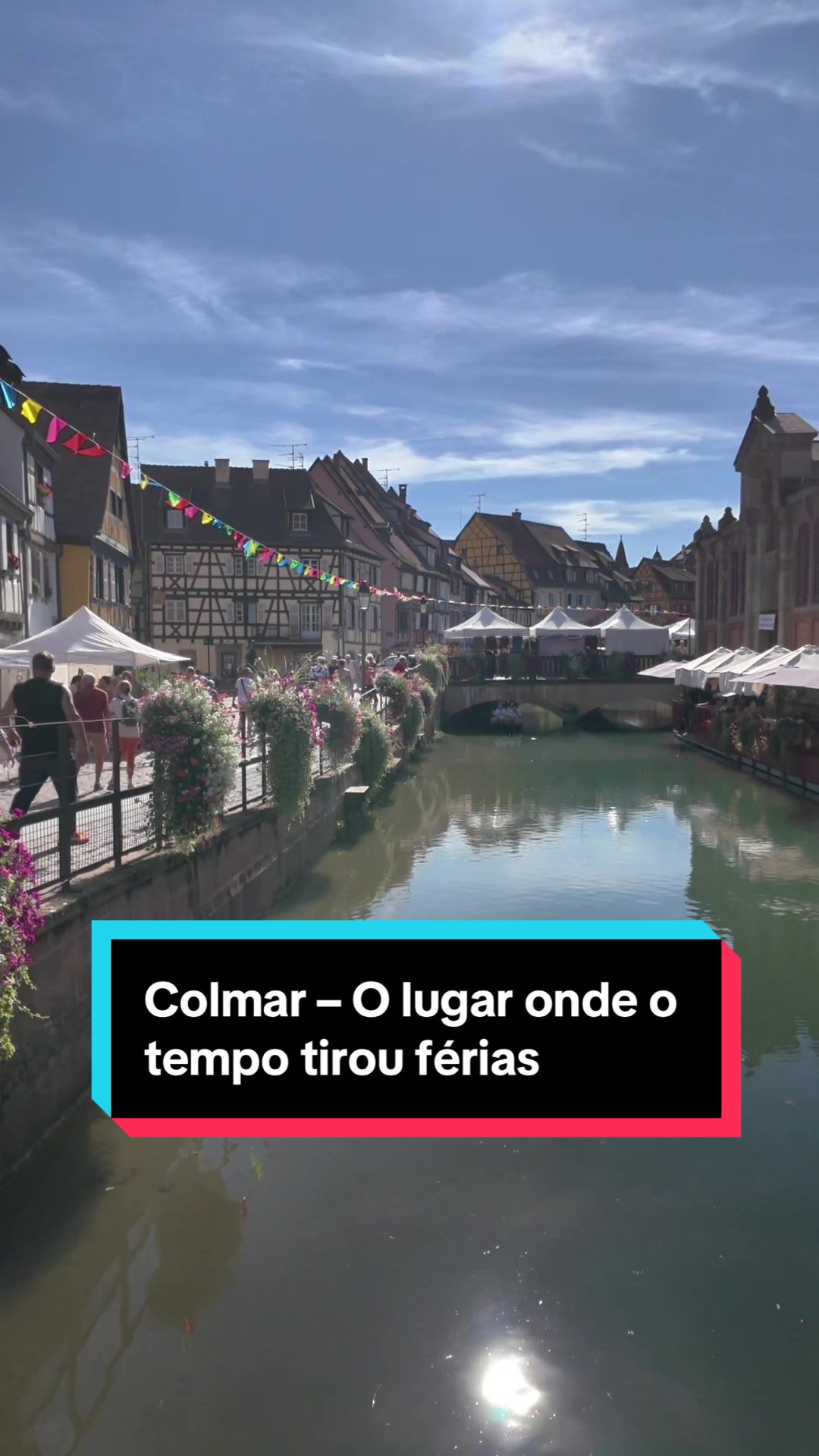 @🏝️CPCITO🏝️