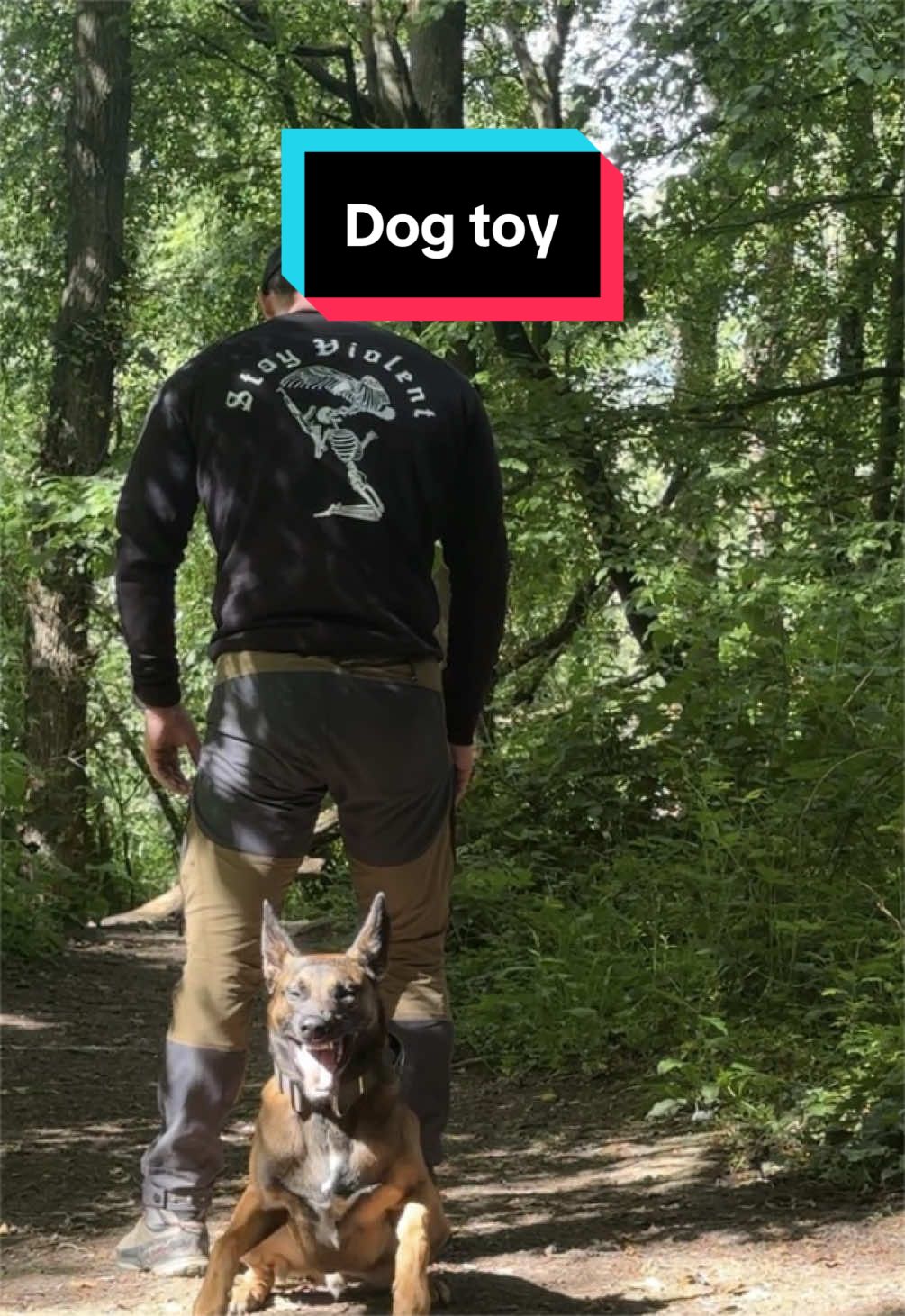 @maligator_and_mountains