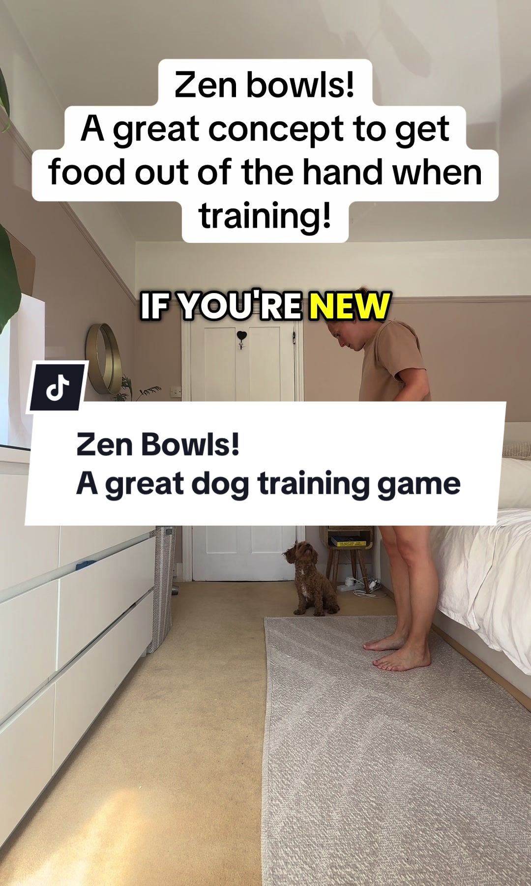 @MilneandMutt
