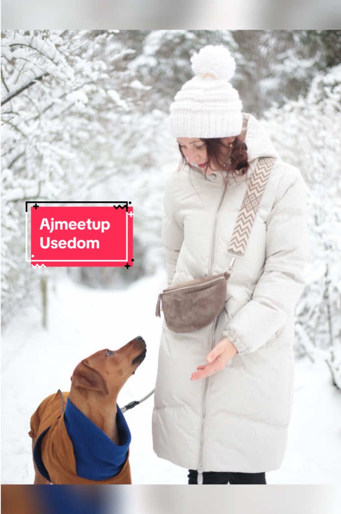 @💃🏻📷🐕🐕annettslittlemoments
