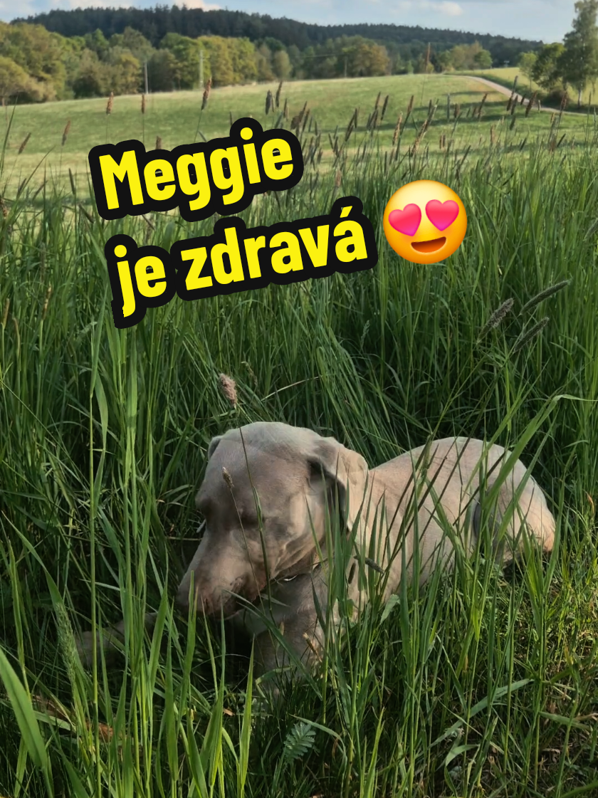 @Ekofarma Holčovice