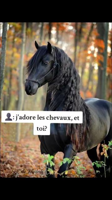 @Lola 🐈⬛🕉🏁