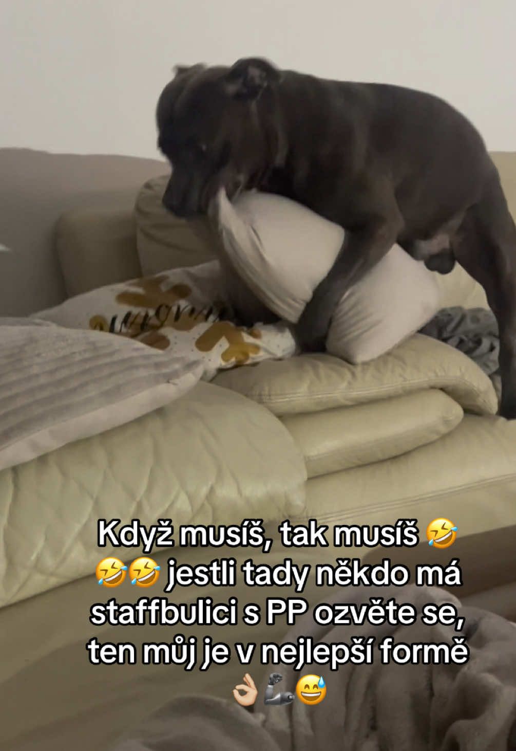 @Beast animal