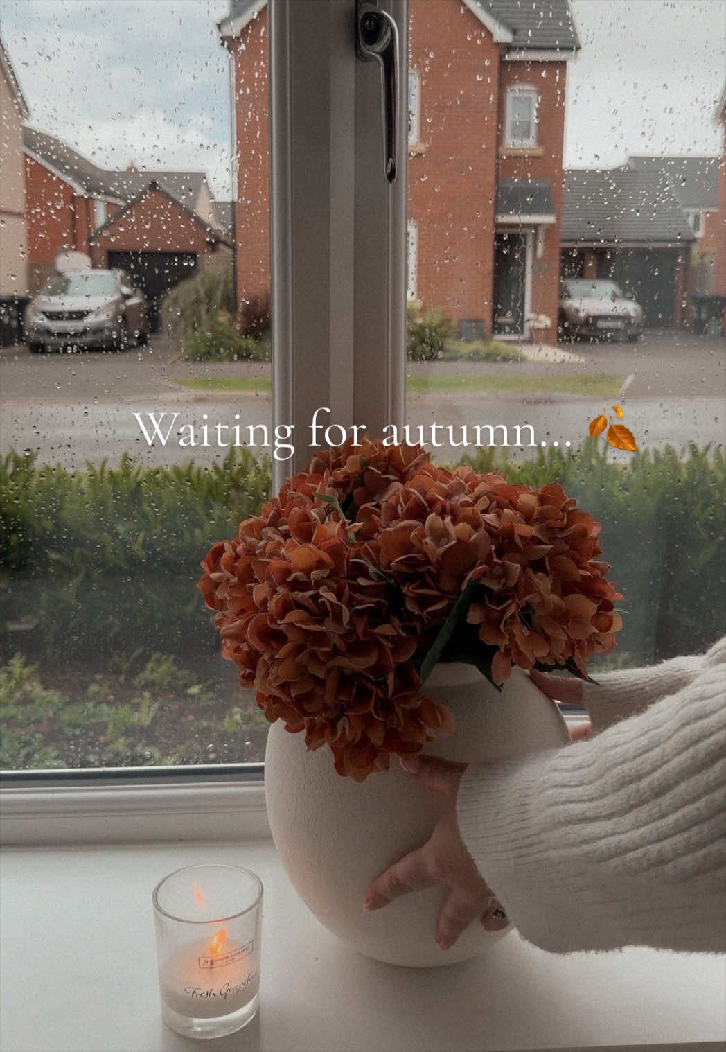 @Steph | Slow, Cosy Living 🤍