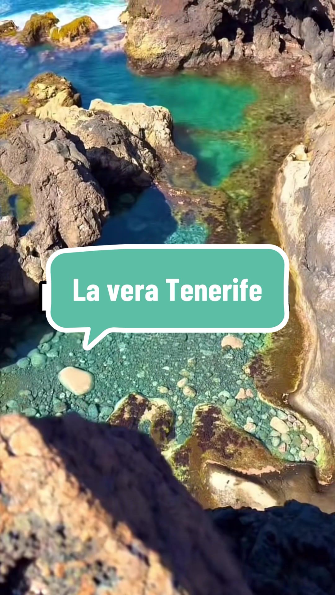 @benvenuti a tenerife🔹