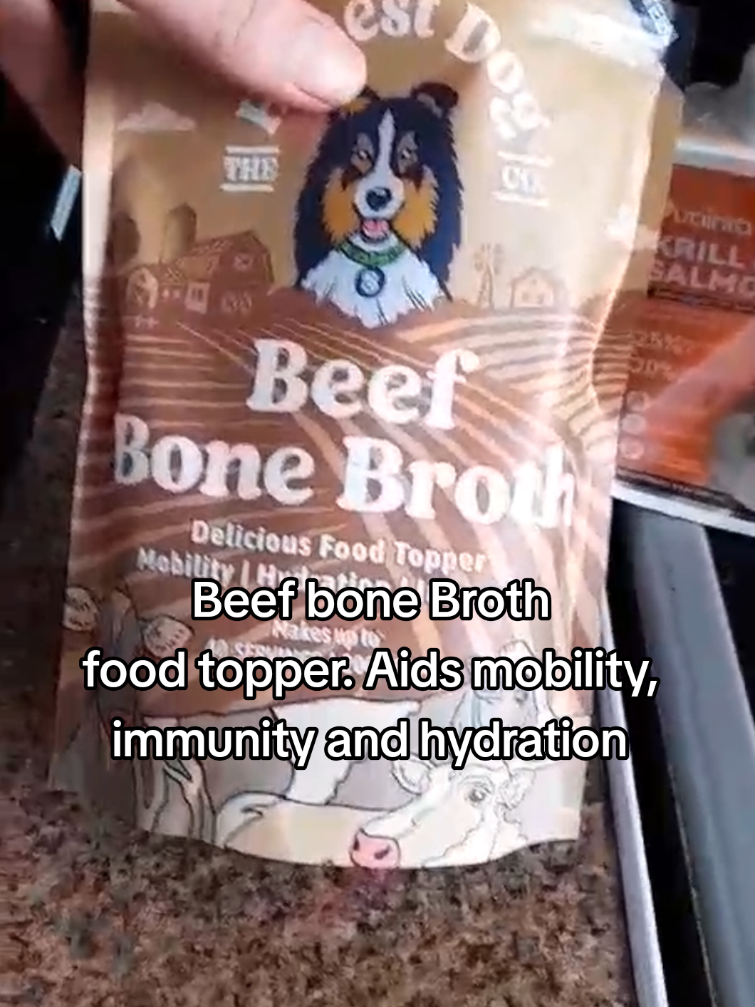 @lucybrogey