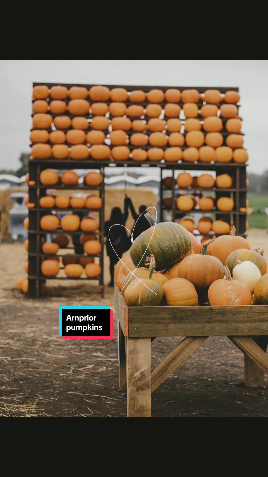 @Arnprior Farm