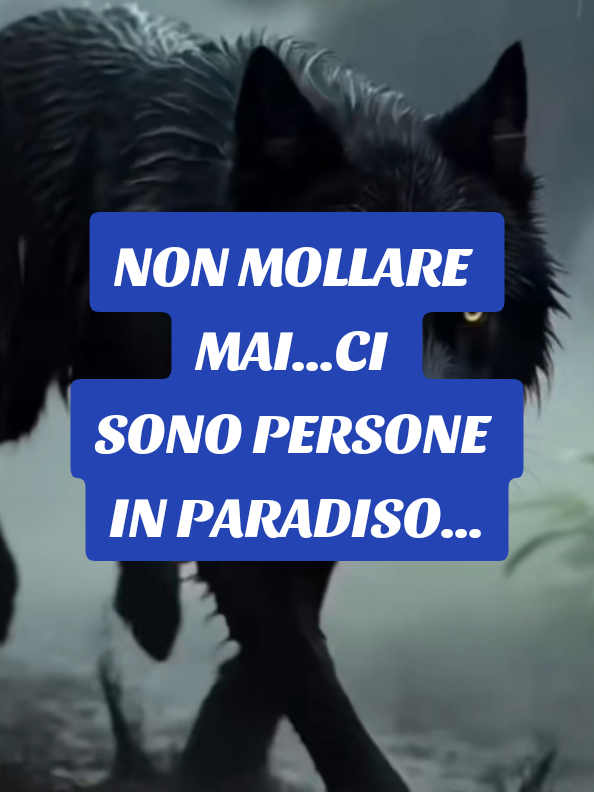 @ALESSANDRO_IL_ROMANO