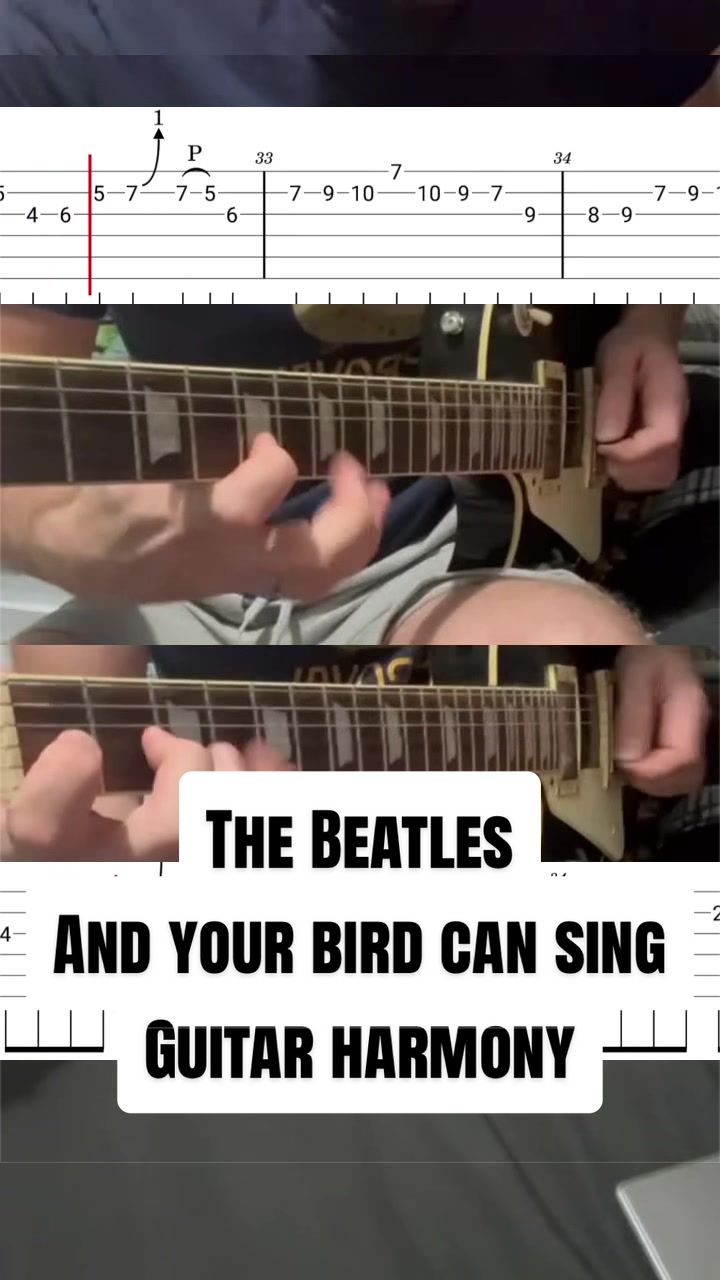 @DingoDan🎸