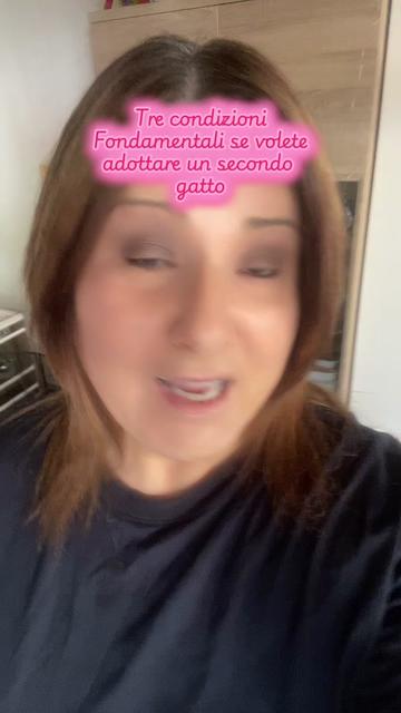 @Paolagemma Consulente Felina😻