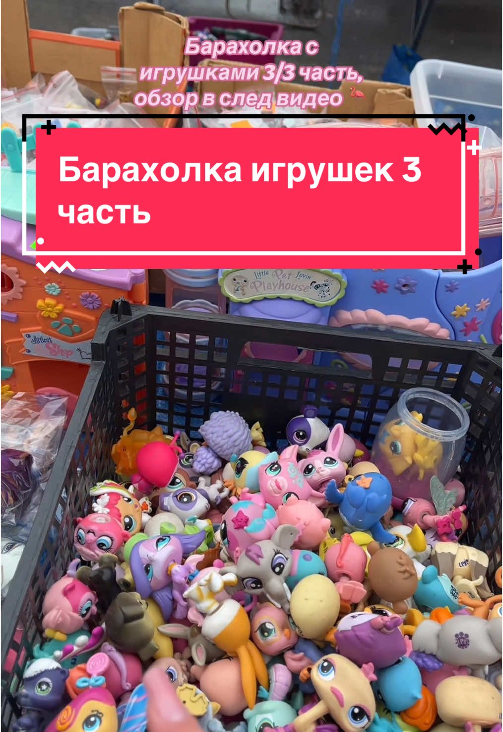 @M colector🧸