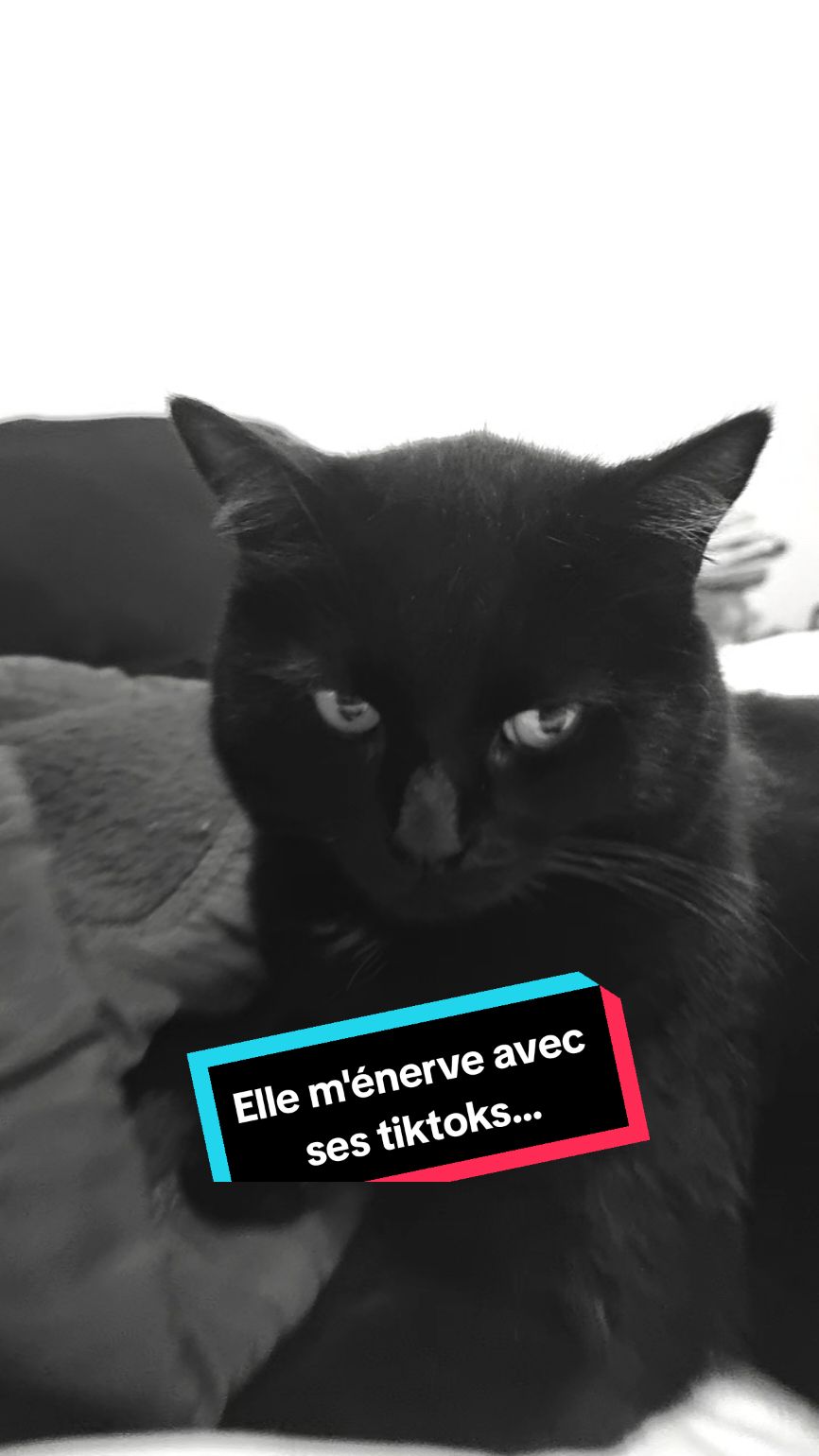 @celia.soline