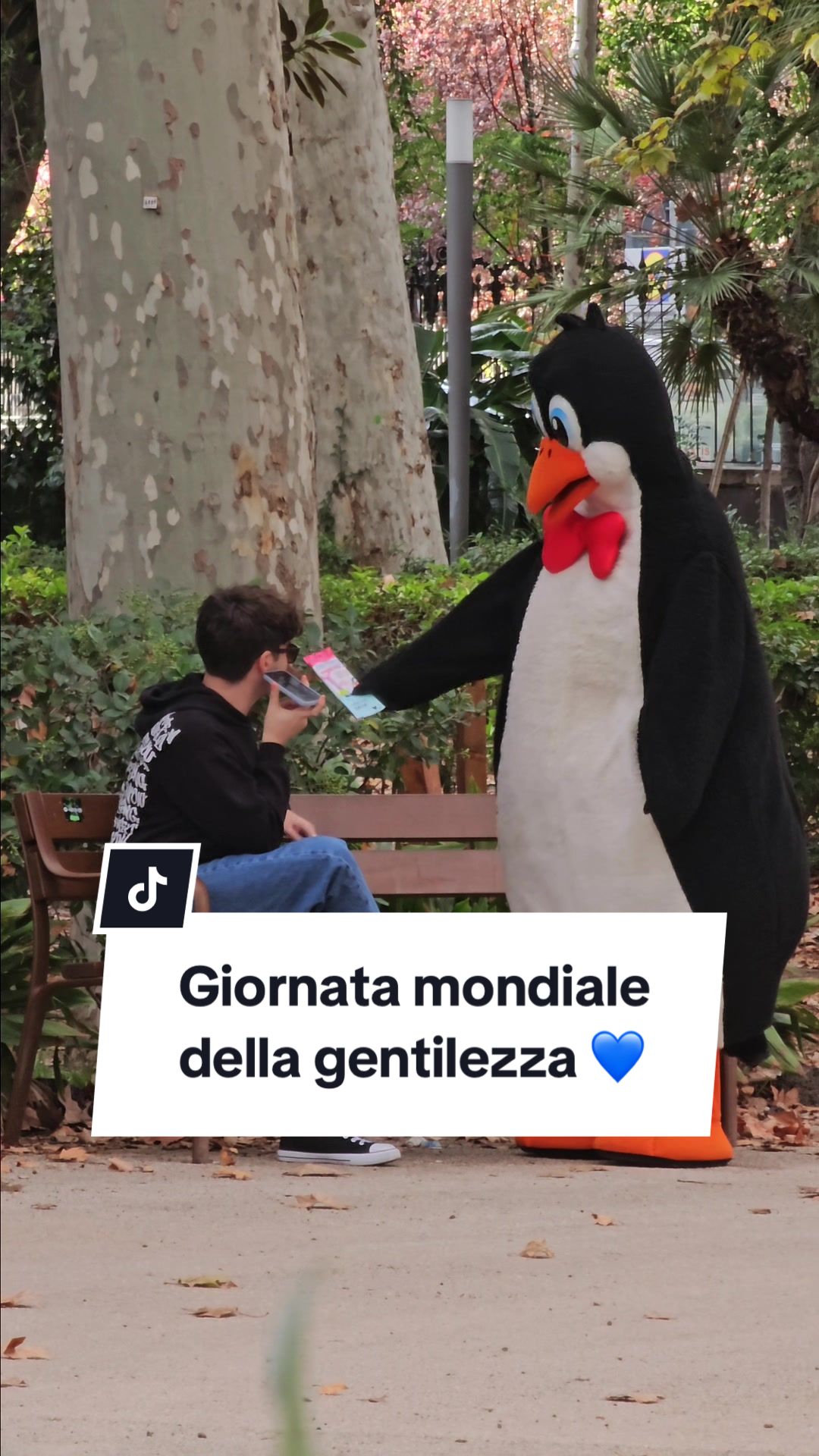 @Polaretti Dolfin
