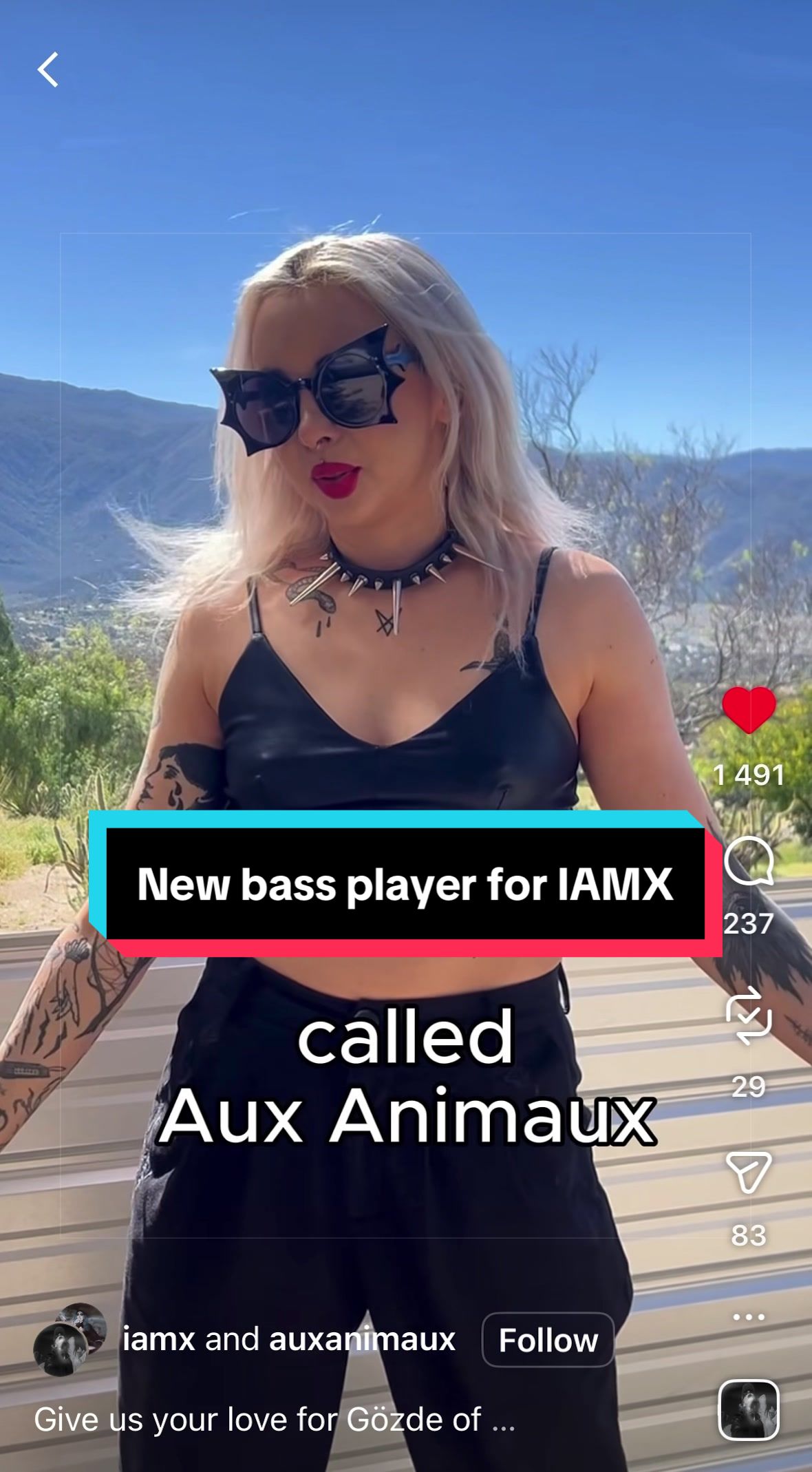 @auxanimaux