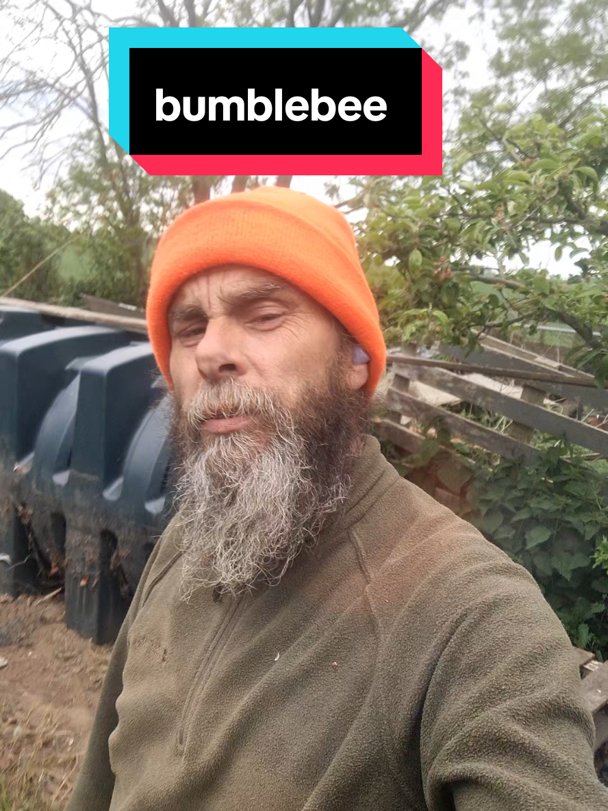 @The Nut Farm