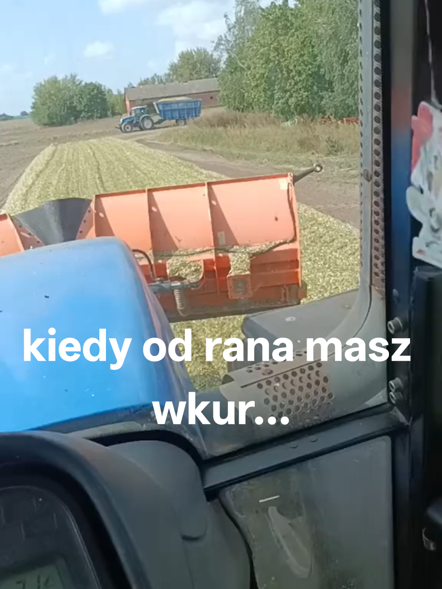 @Kamil Milewski