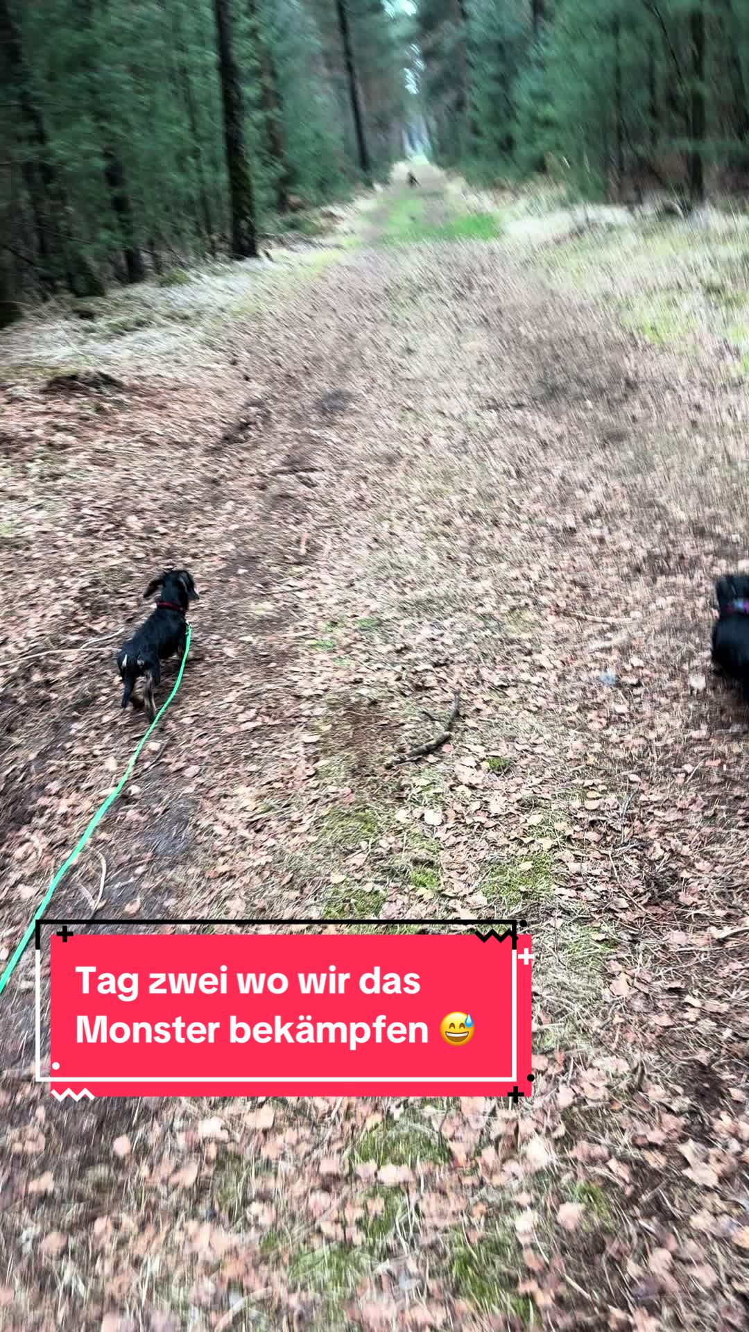 @v.d.Burgmannshöfen