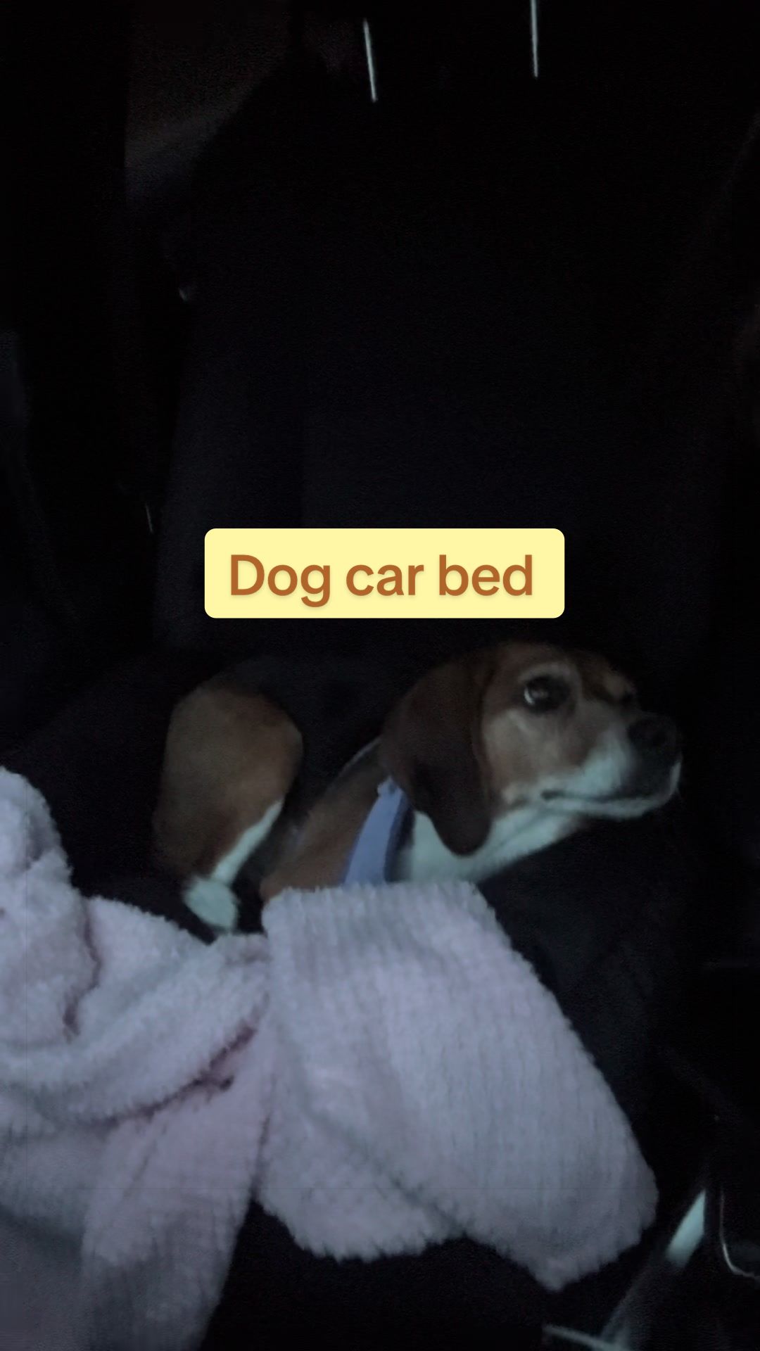 @Winnie&Sophie