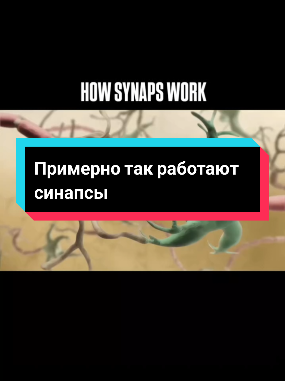 @DushaBolnicy💫