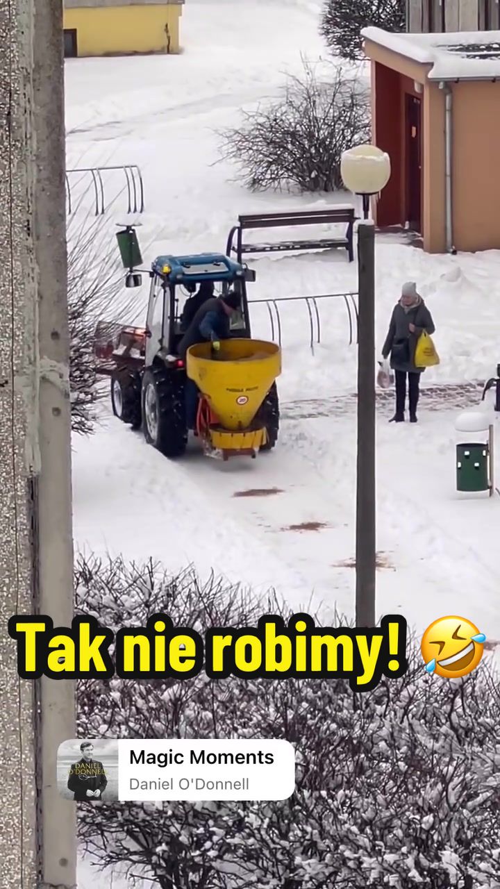 @wilkdomymyje