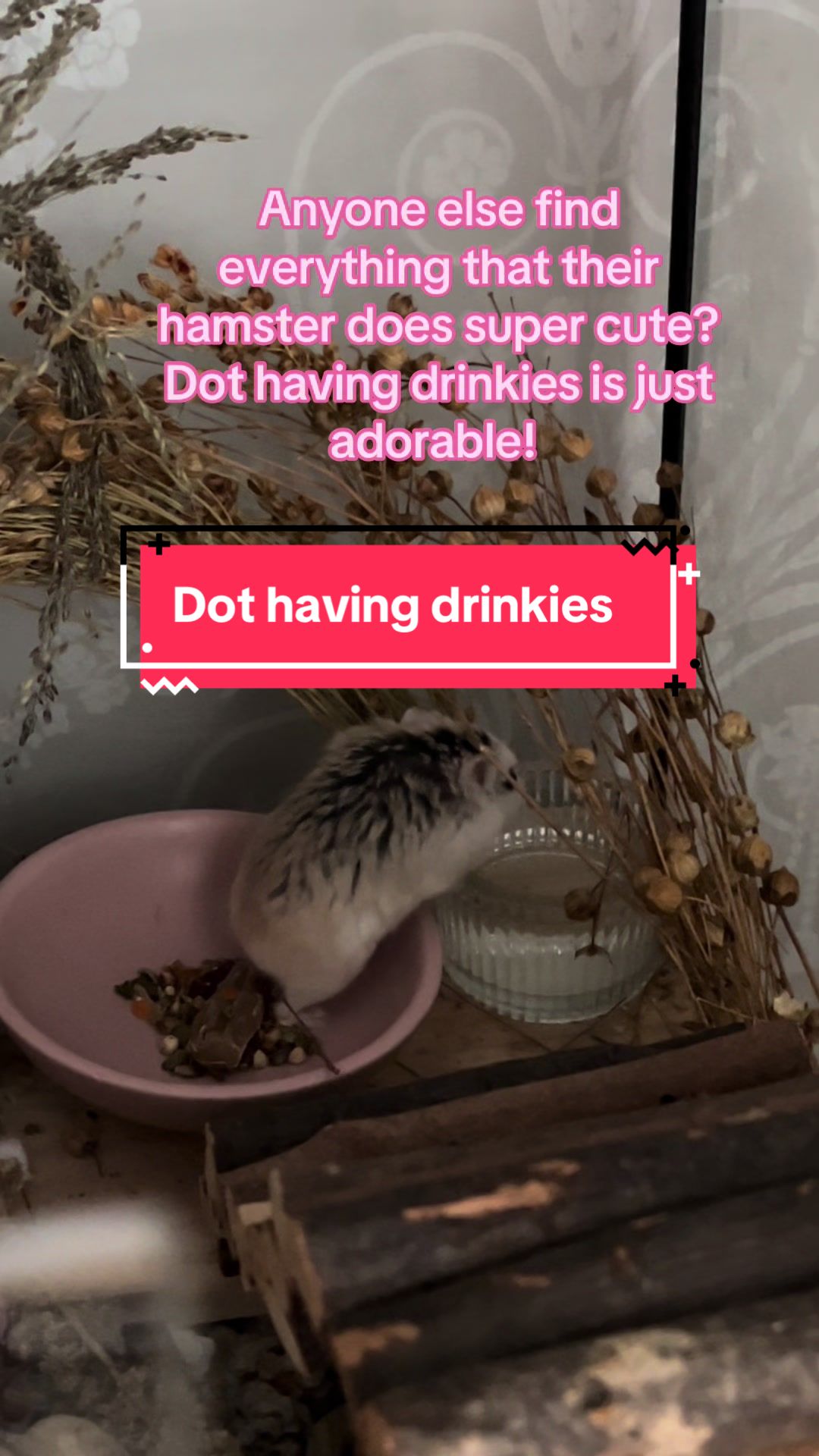 @The land of Dot