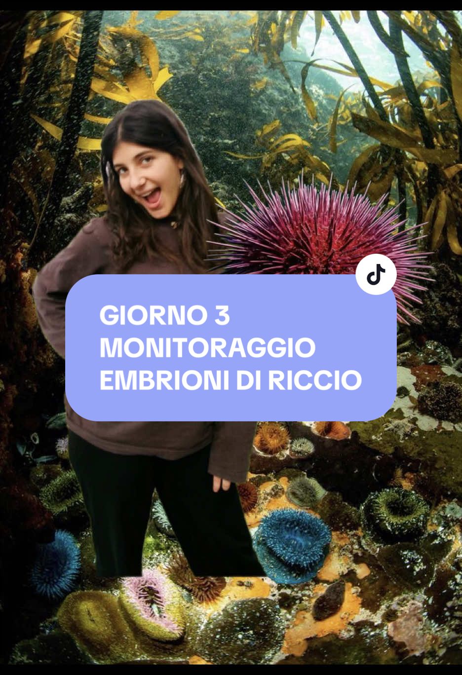 @Flaminia Scapigliati