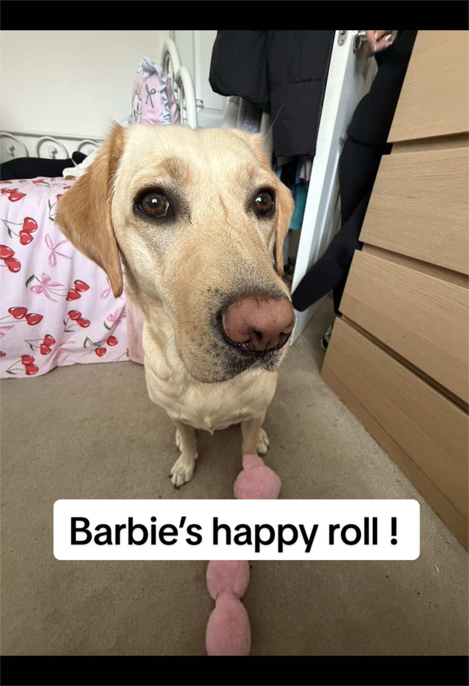 @guidedbybarbie25
