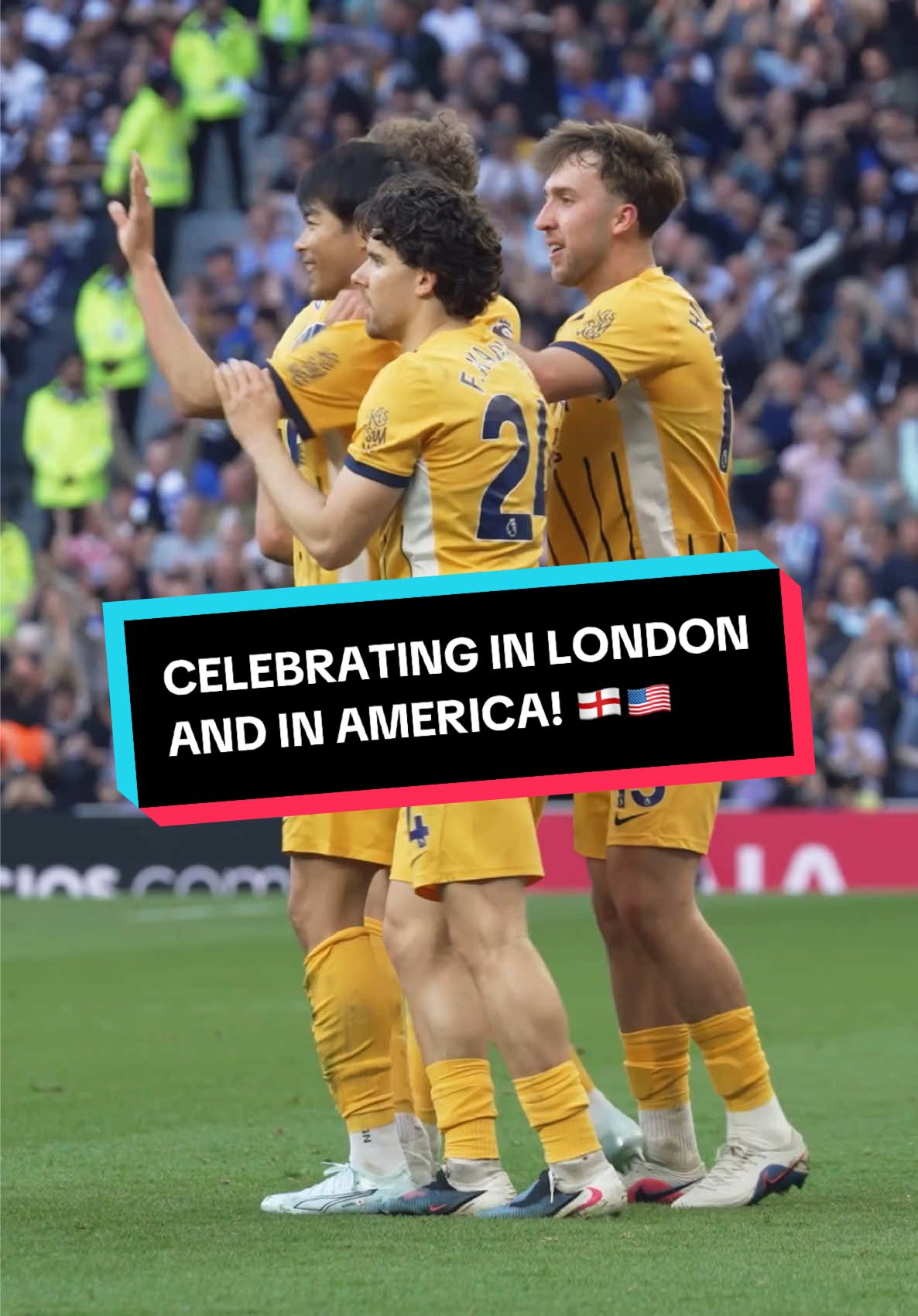 @Brighton & Hove Albion FC