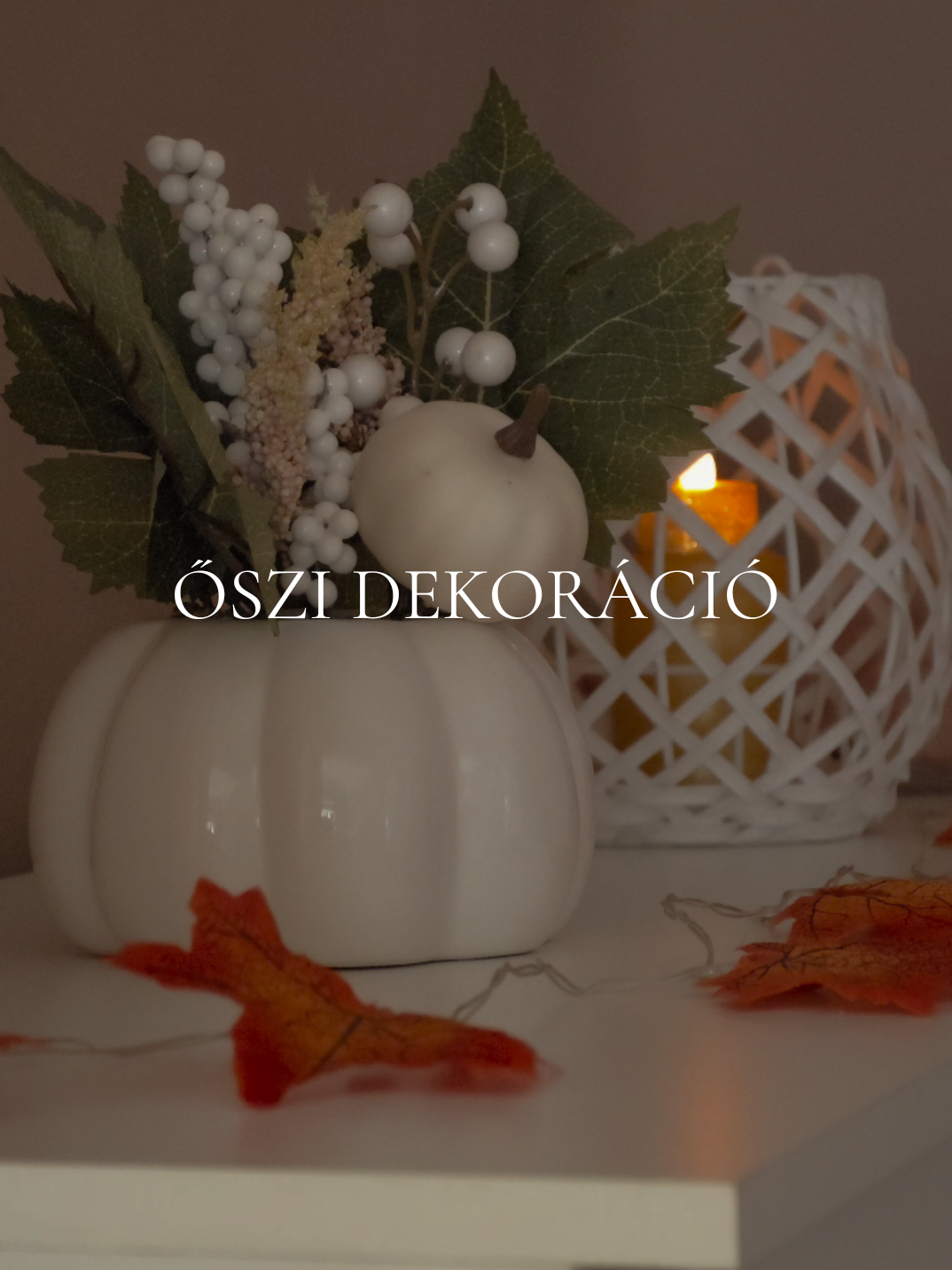 @✿ 𝐏𝐥𝐞𝐭𝐥𝐢 𝐀𝐧𝐢𝐭𝐚 ✿