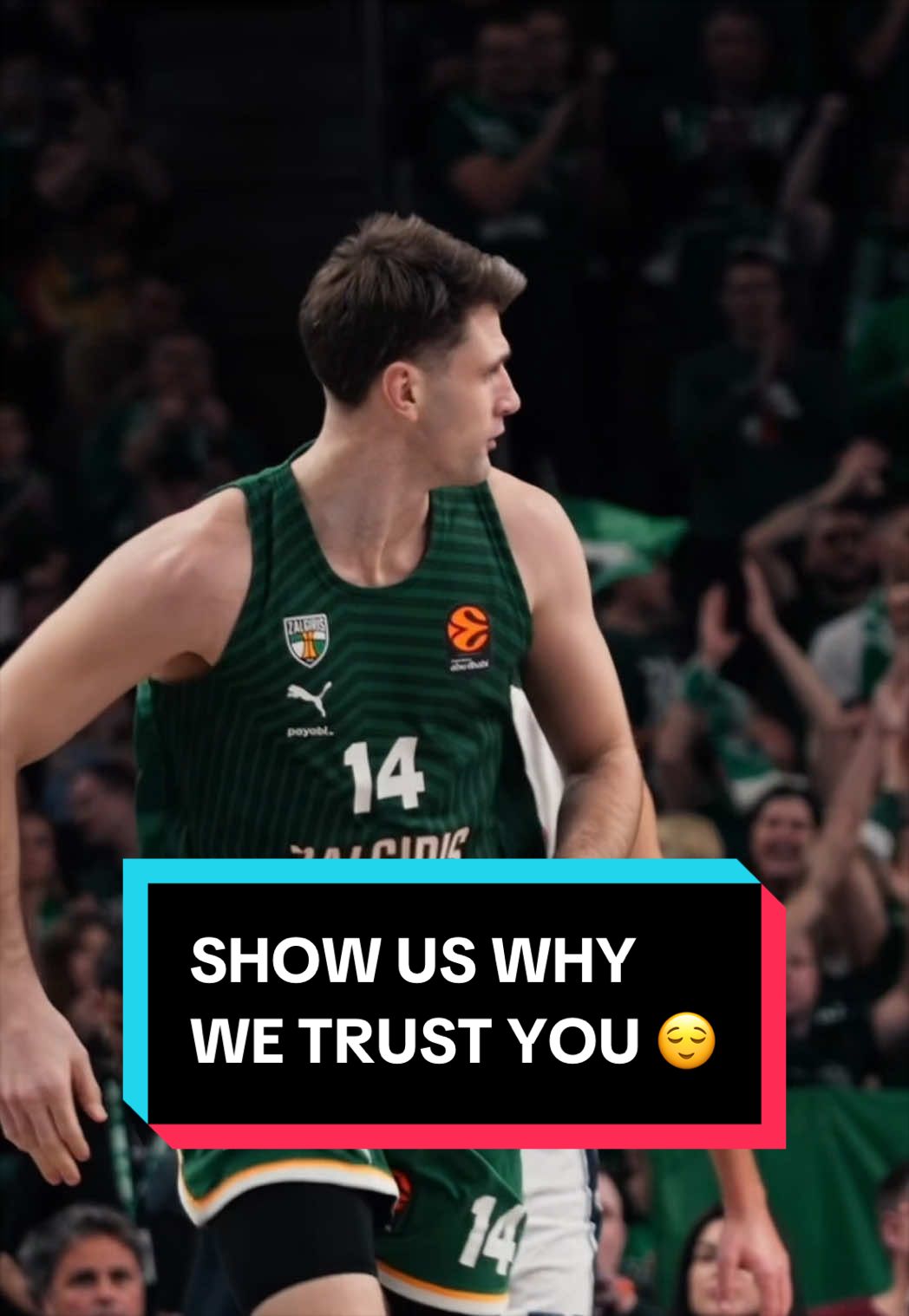 @bczalgiris