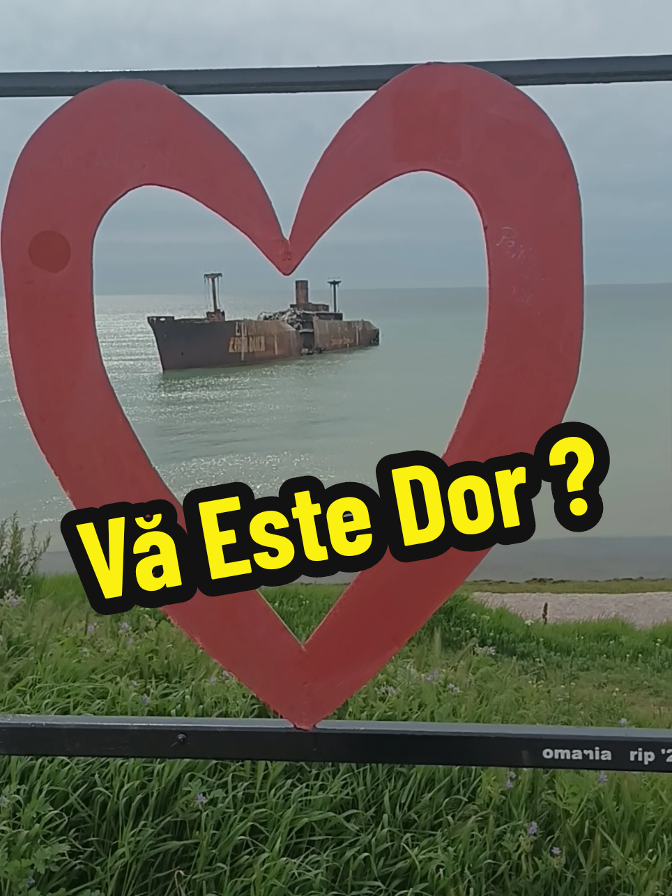 @👉 Băiatul De La Mare 🌊