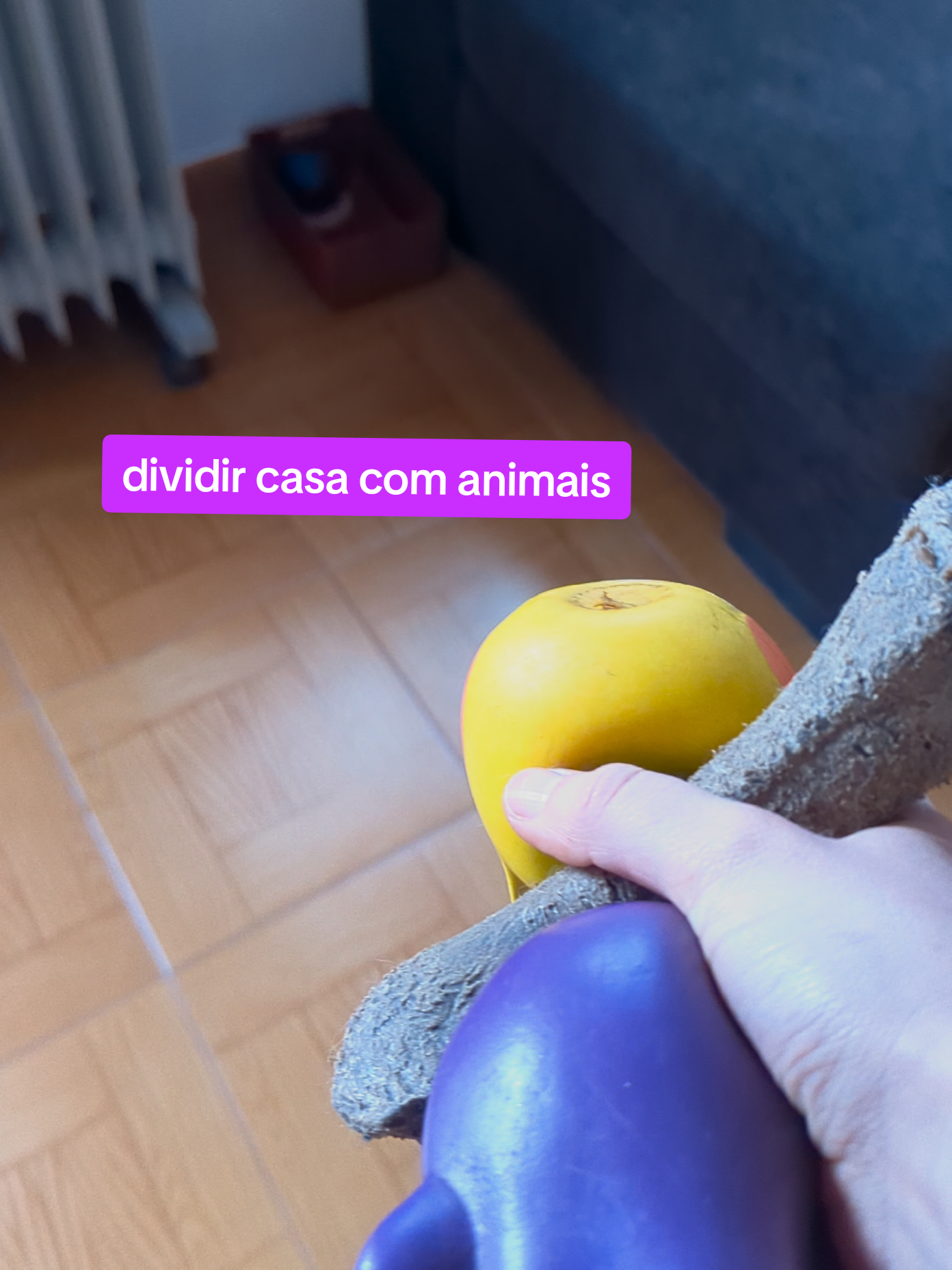 @EDUARDA