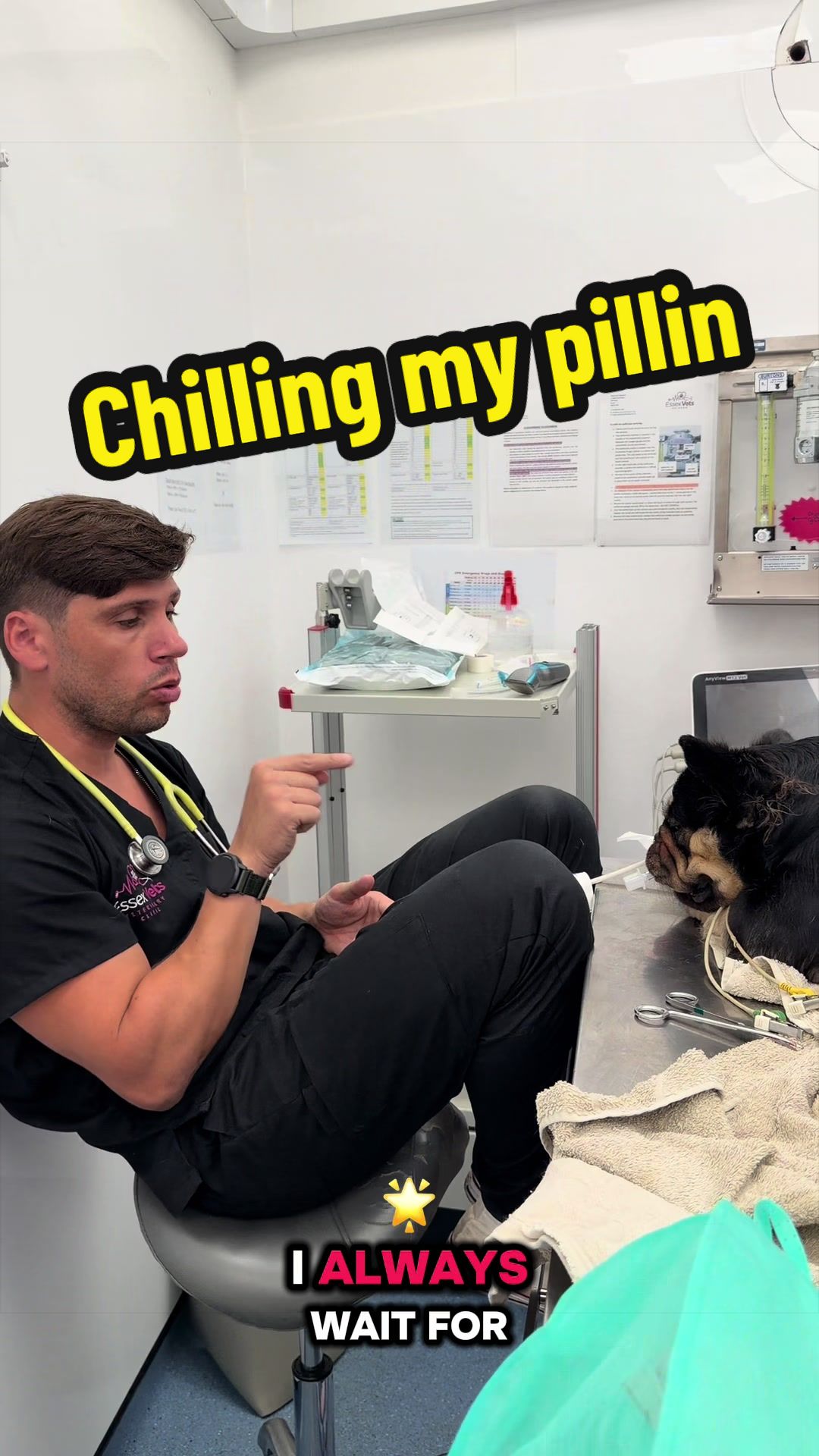 @Tomasthevet