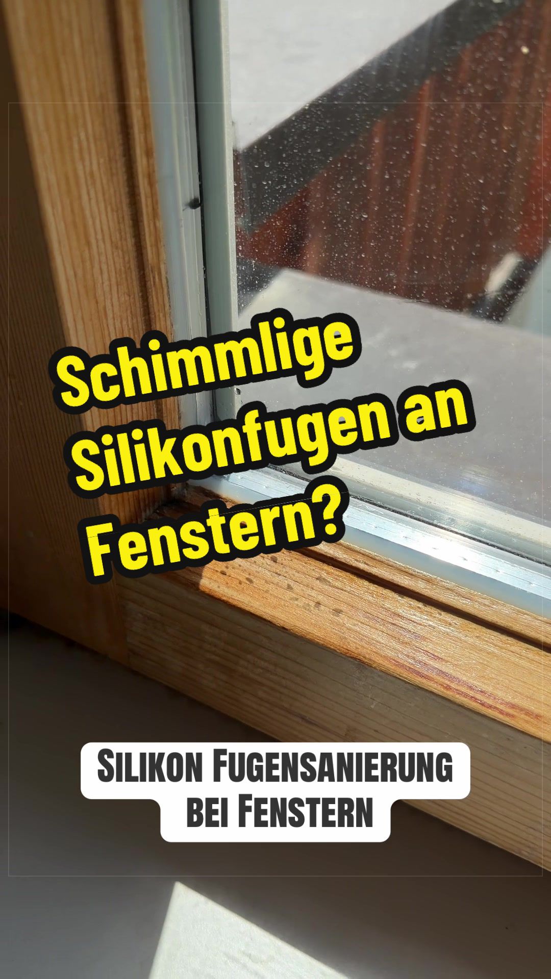 @Silikon Profi
