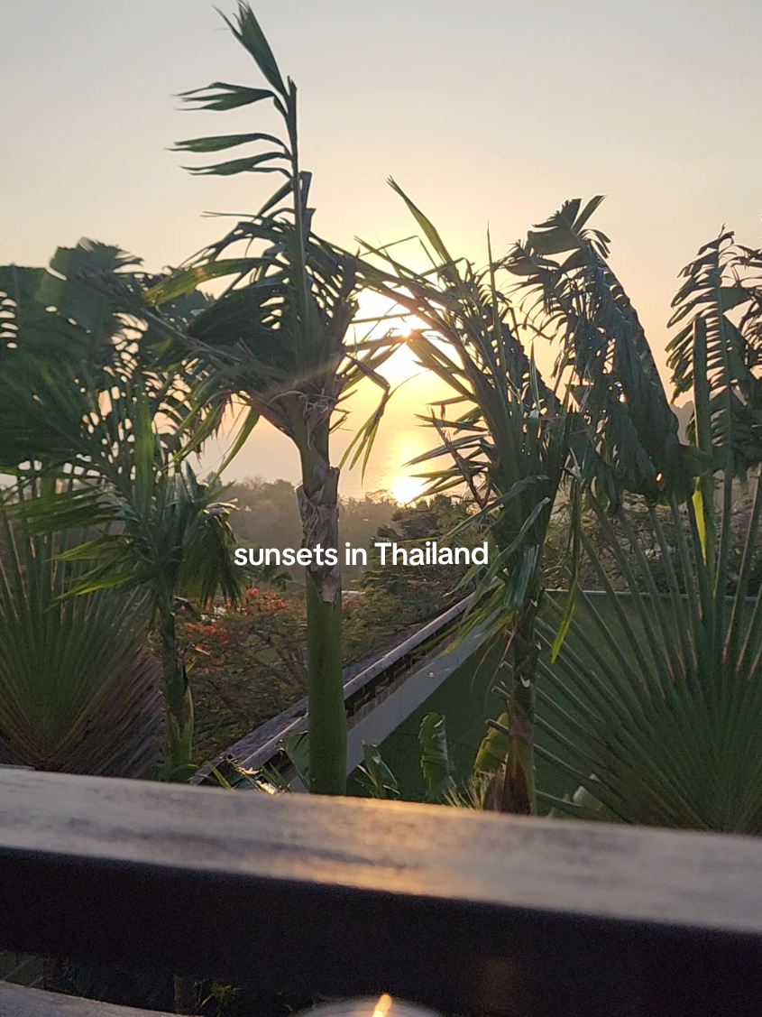 @Yas | Travel With Me