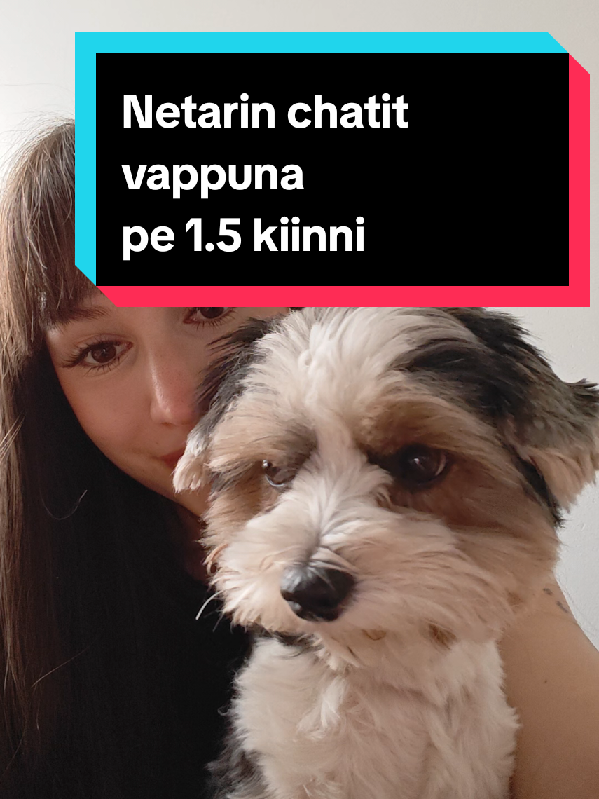 @Netari/Nettinuorisotalo