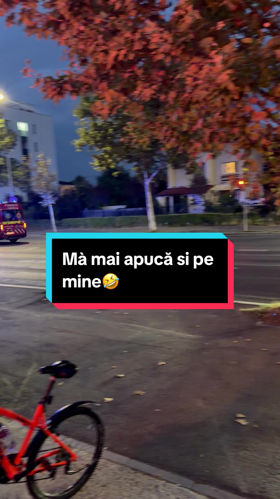 @LILIANA PETRIȘOR