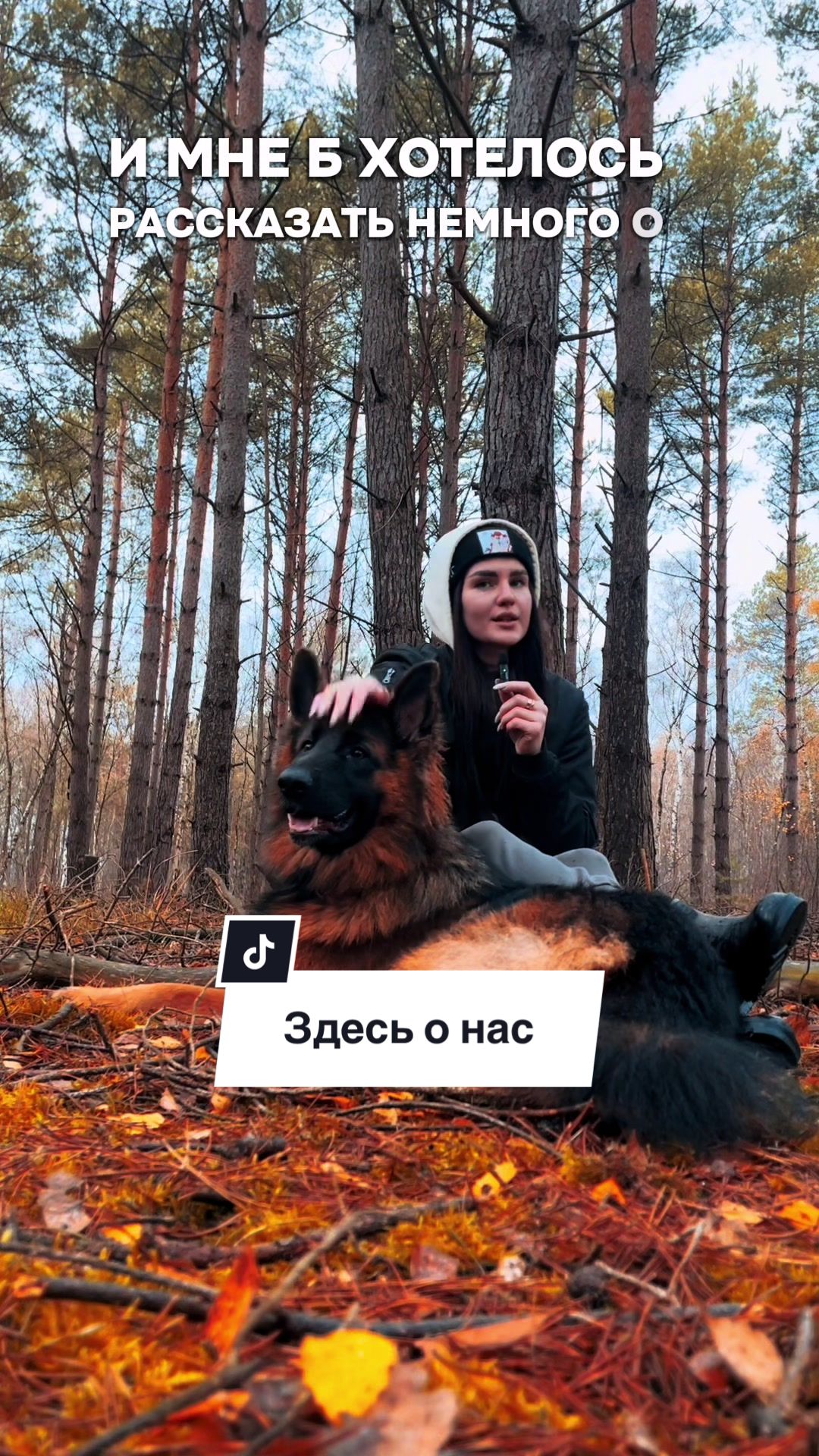 @за лапами