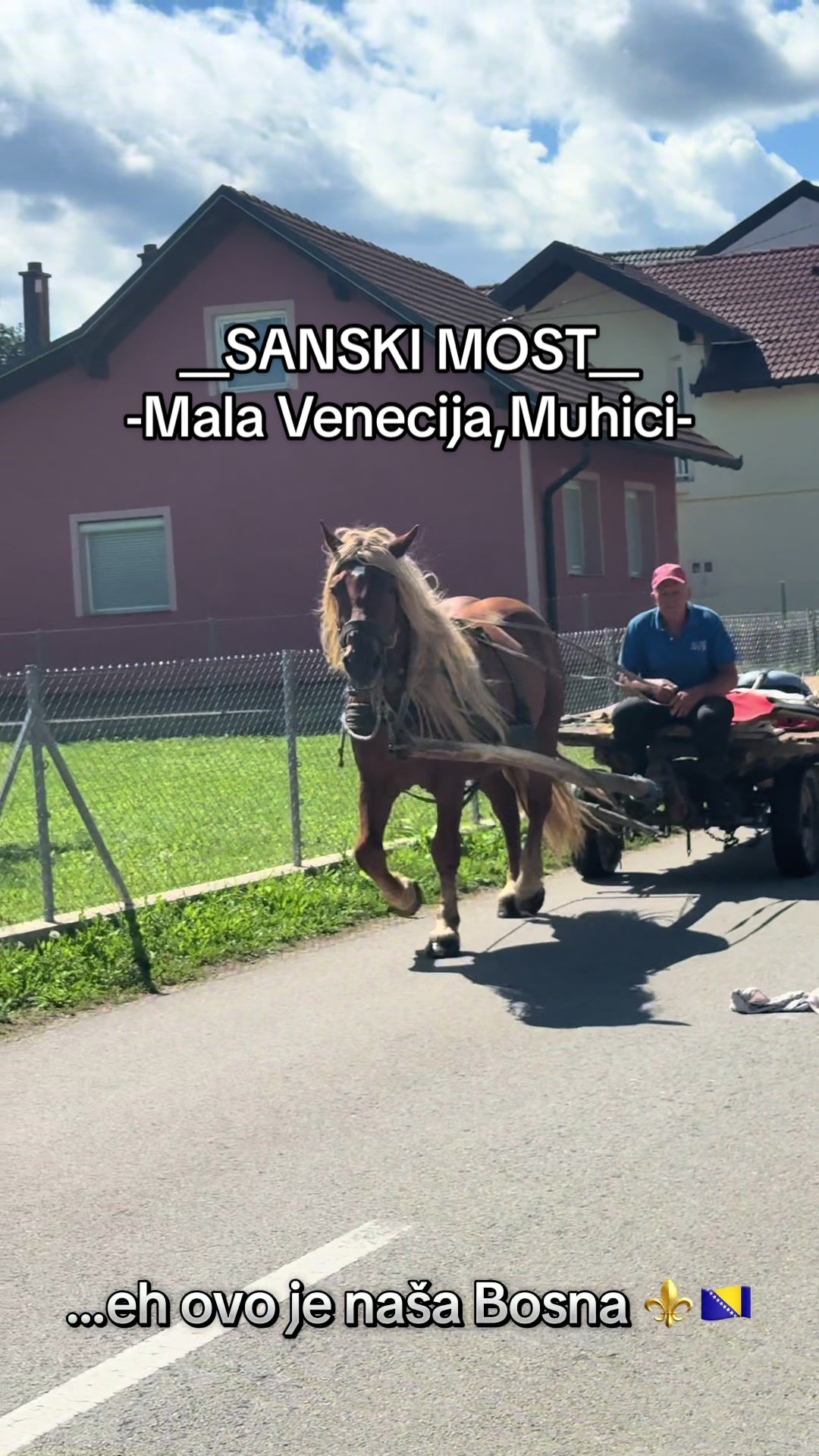 @bosniaxvibes⚜️🇧🇦
