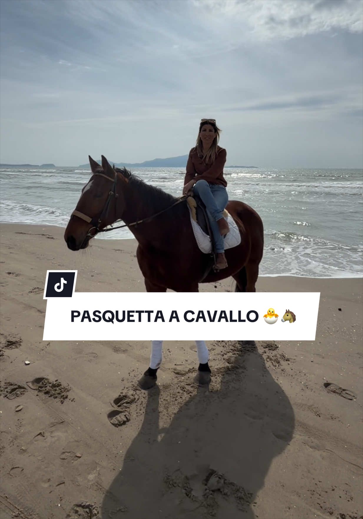 @ANGELACAPUANOHORSE