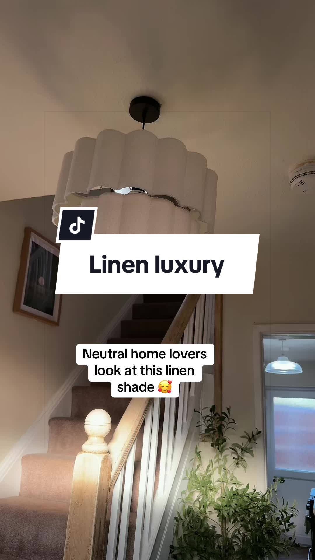 @Shaz finds 🛍️