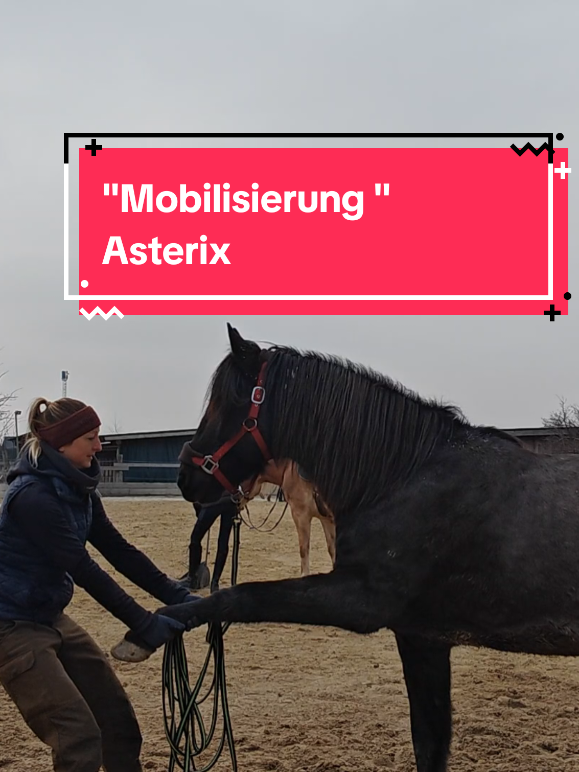 @Arabella Woschalik
