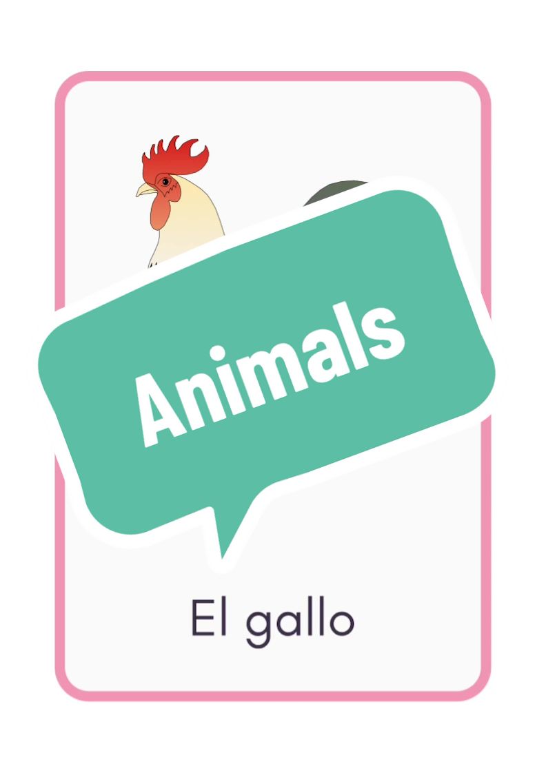 @Learn Spanish with Miss Viva