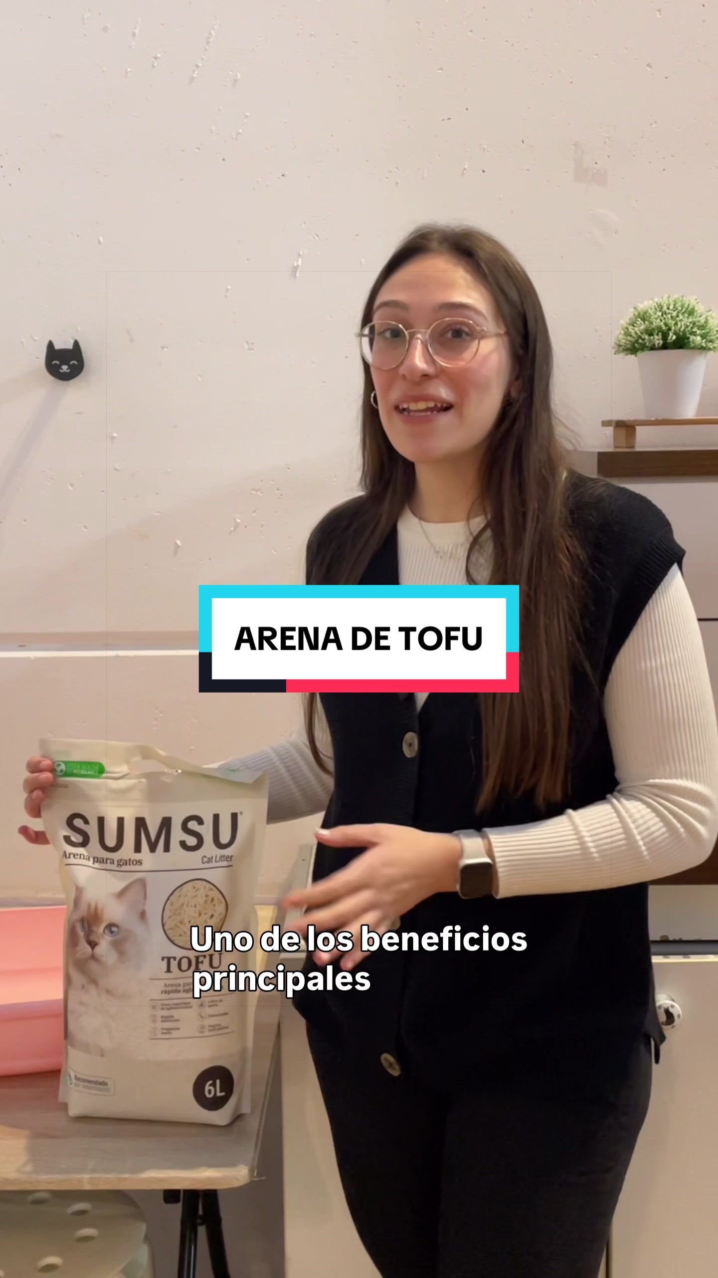 @Miscota &middot; Tienda para mascotas