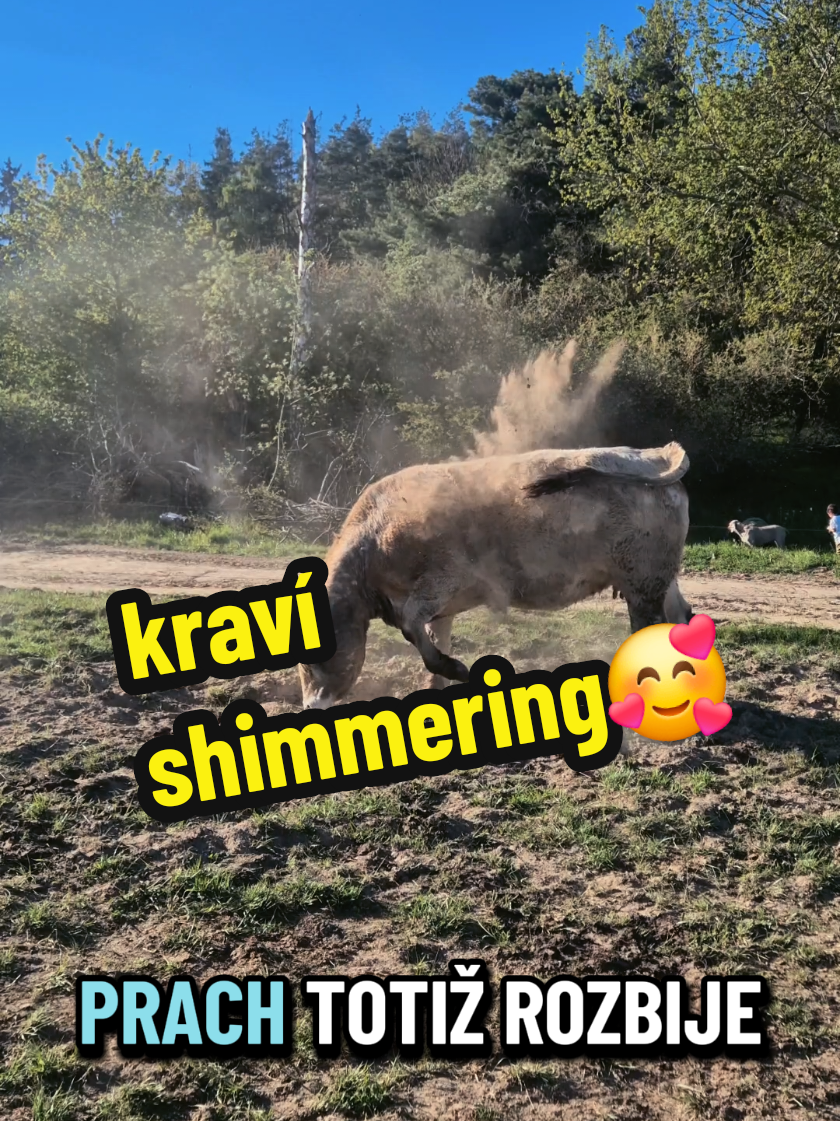 @Ekofarma Holčovice