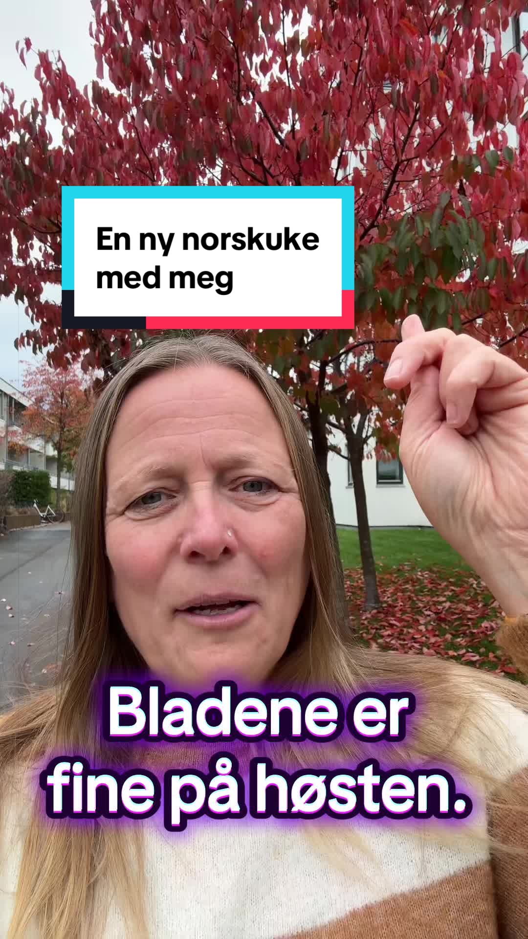 @Hilde Elise