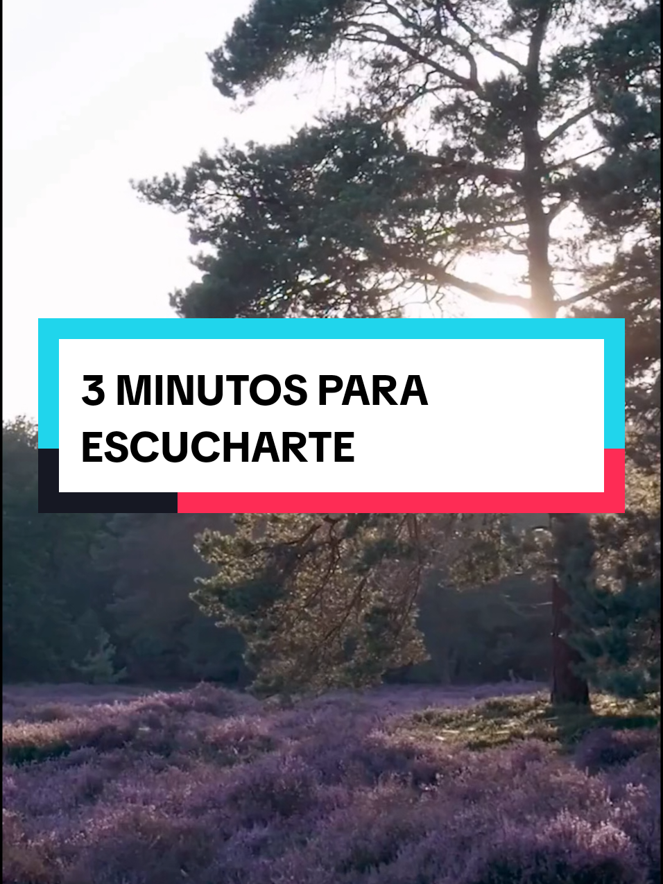 @Espacio para la calma