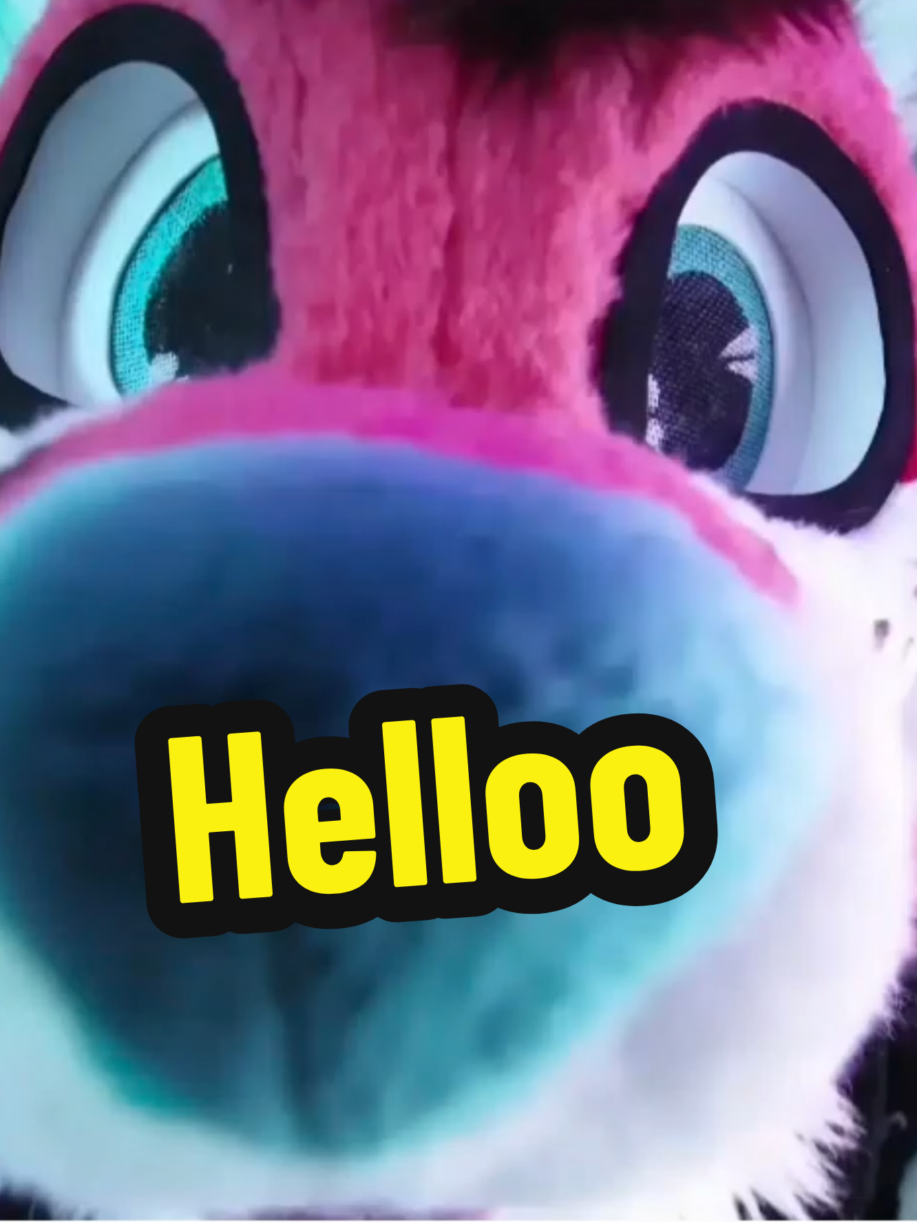 @Hicca 🦊🔜 NFC